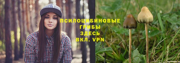 ALPHA-PVP Алексин