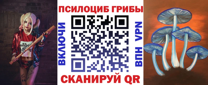 blacksprut маркетплейс  Нижний Тагил  Псилоцибиновые грибы Psilocybe 